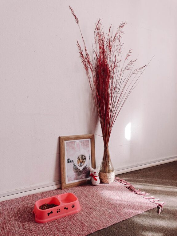 How to Set Up a Comfortable and Safe Pet-Friendly Home Corner